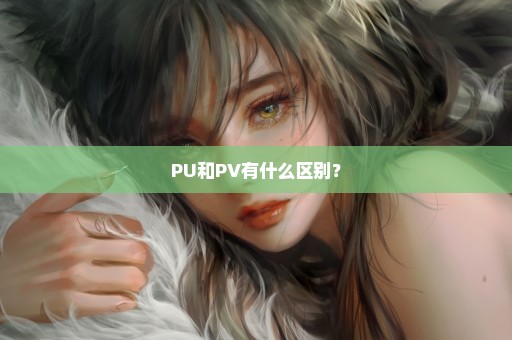 PU和PV有什么区别？