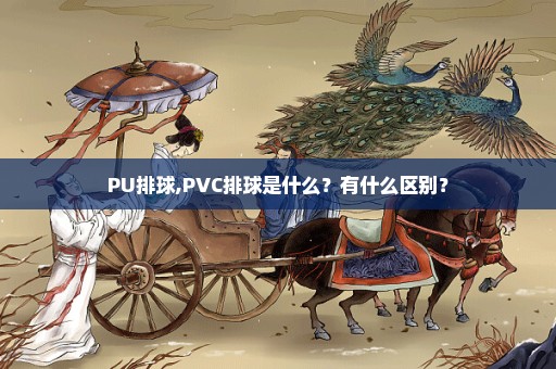 PU排球,PVC排球是什么？有什么区别？