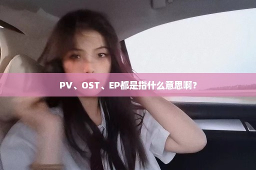 PV、OST、EP都是指什么意思啊？