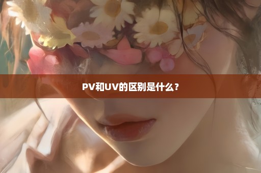 PV和UV的区别是什么？