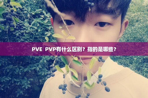 PVE  PVP有什么区别？指的是哪些？