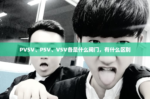 PVSV、PSV、VSV各是什么阀门，有什么区别