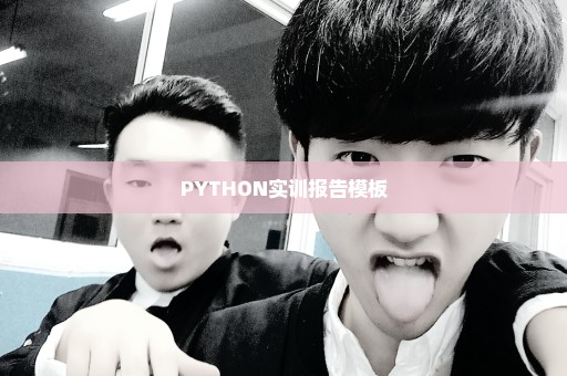 PYTHON实训报告模板