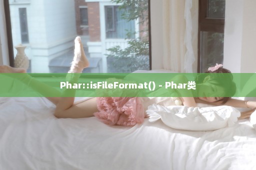 Phar::isFileFormat() - Phar类