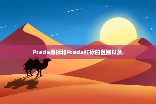 Prada黑标和Prada红标的区别以及.