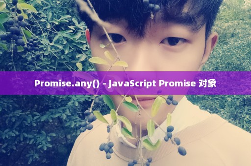 Promise.any() - JavaScript Promise 对象