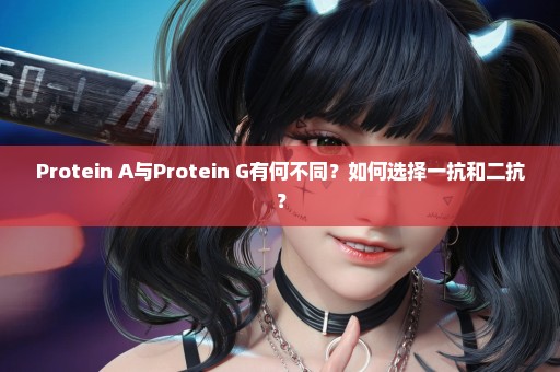 Protein A与Protein G有何不同？如何选择一抗和二抗？