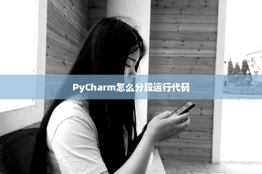 PyCharm怎么分段运行代码