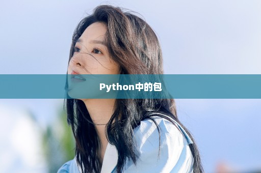 Python中的包