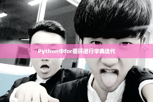 Python中for循环进行字典迭代