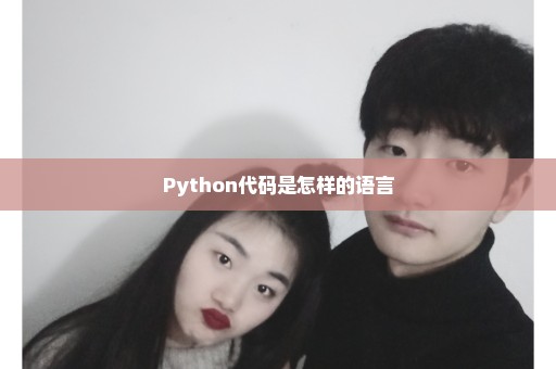 Python代码是怎样的语言