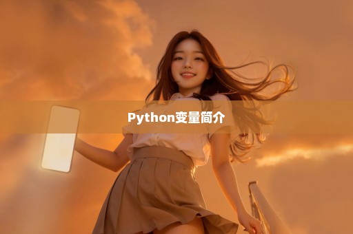 Python变量简介