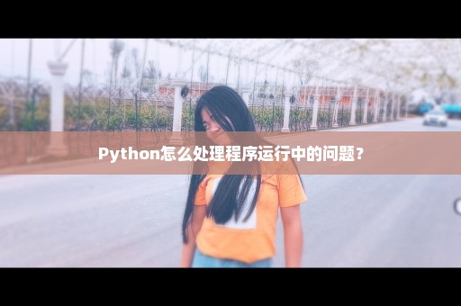 Python怎么处理程序运行中的问题？