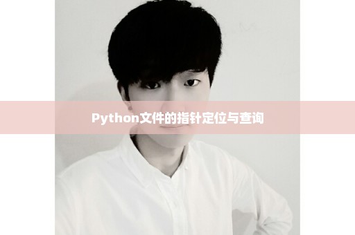 Python文件的指针定位与查询