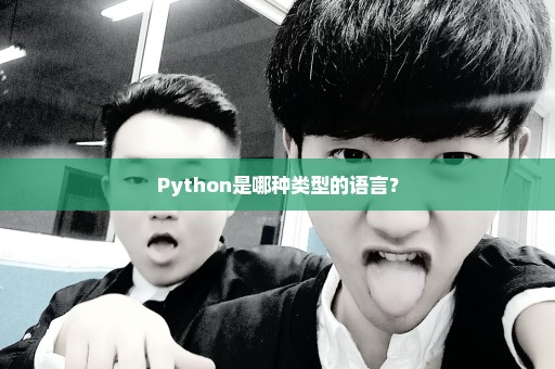 Python是哪种类型的语言？