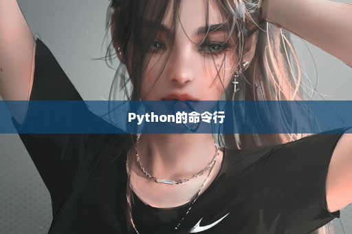 Python的命令行