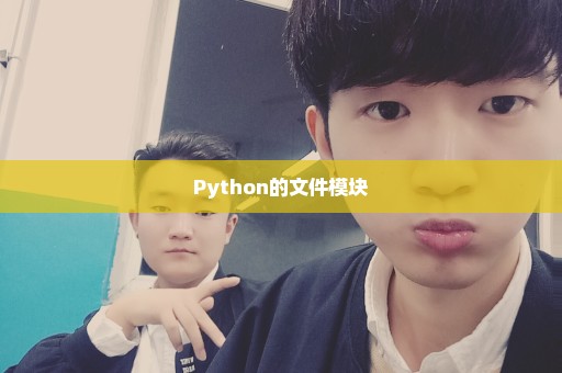 Python的文件模块