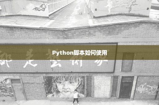 Python脚本如何使用