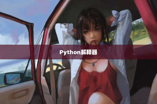 Python解释器