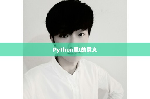 Python里t的意义