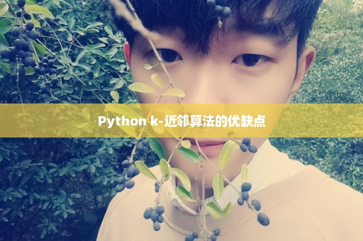 Python k-近邻算法的优缺点