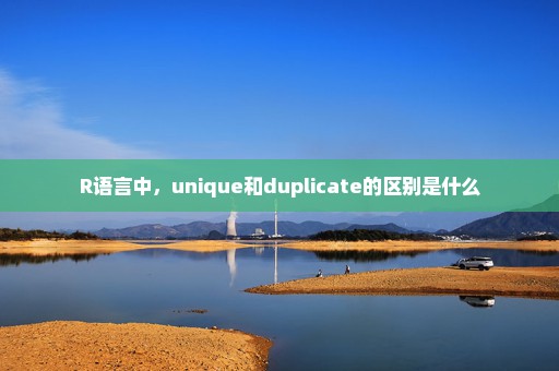 R语言中，unique和duplicate的区别是什么