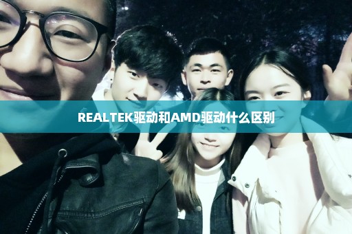 REALTEK驱动和AMD驱动什么区别