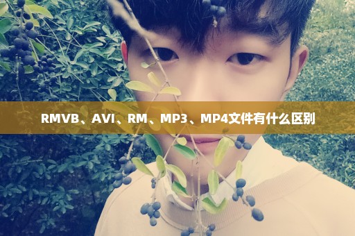 RMVB、AVI、RM、MP3、MP4文件有什么区别