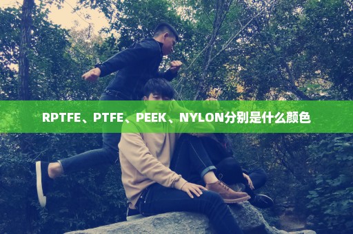 RPTFE、PTFE、PEEK、NYLON分别是什么颜色