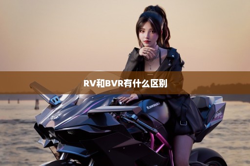 RV和BVR有什么区别