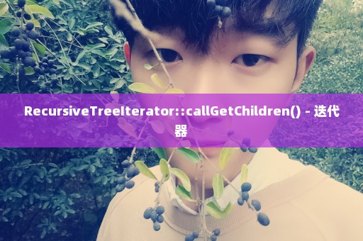 RecursiveTreeIterator::callGetChildren() - 迭代器