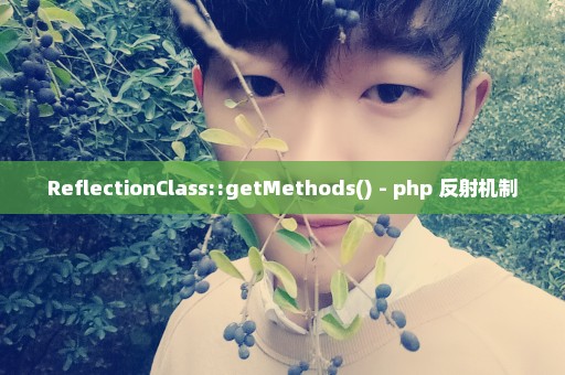 ReflectionClass::getMethods() - php 反射机制