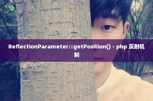 ReflectionParameter::getPosition() - php 反射机制