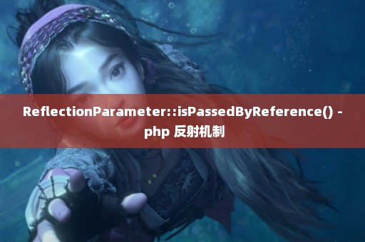 ReflectionParameter::isPassedByReference() - php 反射机制