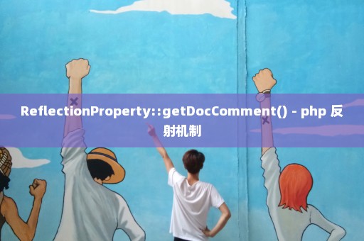 ReflectionProperty::getDocComment() - php 反射机制