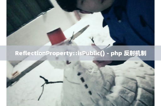 ReflectionProperty::isPublic() - php 反射机制