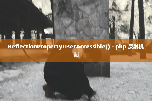 ReflectionProperty::setAccessible() - php 反射机制