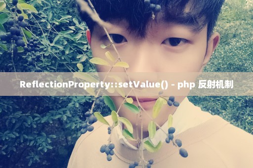 ReflectionProperty::setValue() - php 反射机制