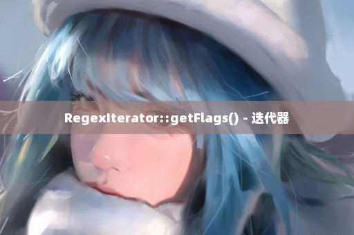 RegexIterator::getFlags() - 迭代器