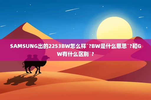 SAMSUNG出的2253BW怎么样`?BW是什么意思`?和GW有什么区别`?