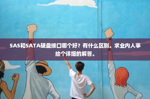 SAS和SATA硬盘接口哪个好？有什么区别。求业内人事给个详细的解答。