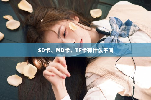 SD卡、MD卡、TF卡有什么不同