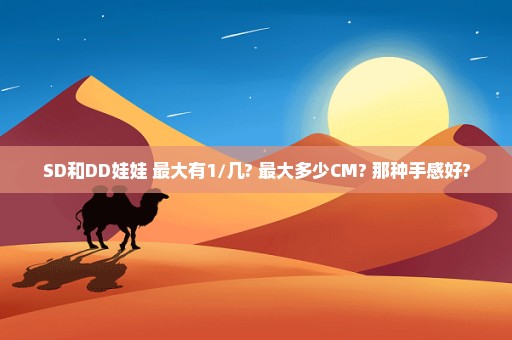 SD和DD娃娃 最大有1/几? 最大多少CM? 那种手感好?