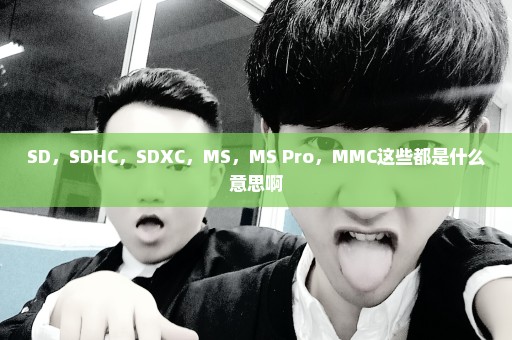 SD，SDHC，SDXC，MS，MS Pro，MMC这些都是什么意思啊