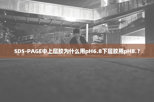 SDS-PAGE中上层胶为什么用pH6.8下层胶用pH8.？