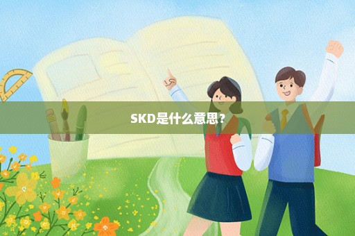 SKD是什么意思？