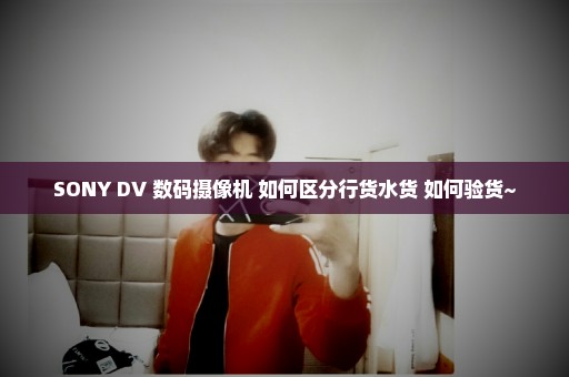 SONY DV 数码摄像机 如何区分行货水货 如何验货~