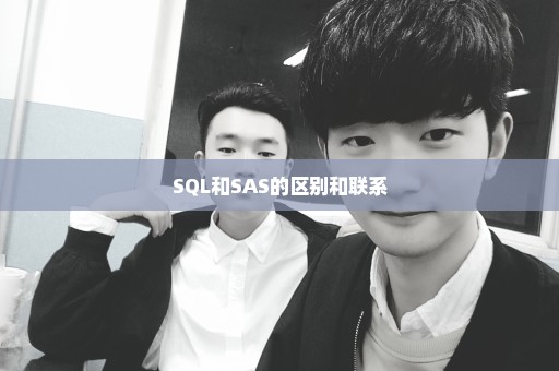 SQL和SAS的区别和联系