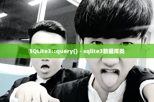 SQLite3::query() - sqlite3数据库类