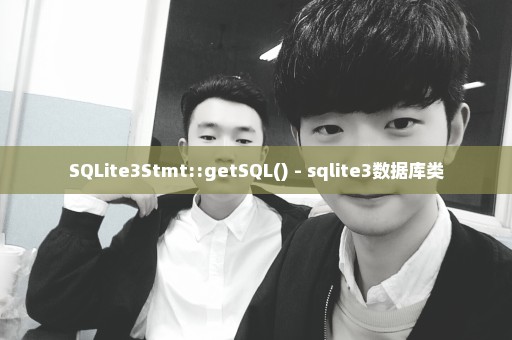 SQLite3Stmt::getSQL() - sqlite3数据库类